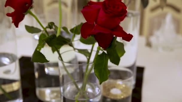 Trois roses rouges luxuriantes dans un vase sur la table dans un restaurant . — Video