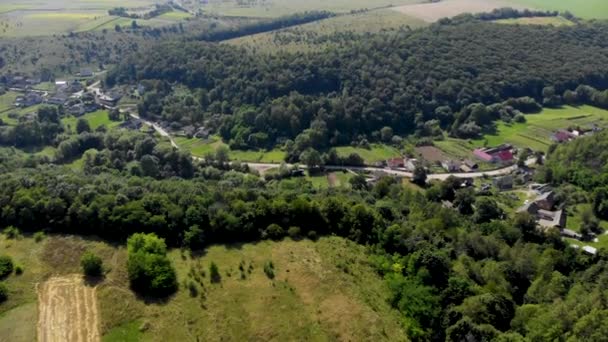 Campo verde, arancione e marrone chiaro, foresta e cielo blu. Estate. Villaggio. — Video Stock