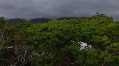 Çarpıcı tropikal yeşil yağmur ormanları ve berrak mavi okyanusun insansız hava aracı görüntüsü Camiguin Adası Filipinler 'e vuran dalgalar tatil için Asya' ya seyahat ediyor.  