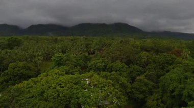 Çarpıcı tropikal yeşil yağmur ormanları ve berrak mavi okyanusun insansız hava aracı görüntüsü Camiguin Adası Filipinler 'e vuran dalgalar tatil için Asya' ya seyahat ediyor.  