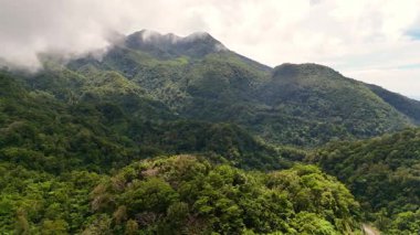 Yeşillik yeşil orman örtüleri ve kasvetli bulutlarla volkanik dağ sıraları ve buğulu Hibok Hibok Ulusal Parkı Filipinleri, Camiguin Adası Asya turizm beldesi Sinematik 