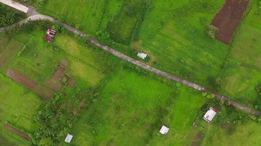 Dramatic lush tropical jungle and volcanic mountain views on Camiguin Island Philippines, captured as travel and tourism content for vacation and backpacking media