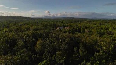 İnsan yapımı orman ve tek yol üzerindeki hava aracı görüntüsü, Siquijor Filipinler Asya, tropikal yağmur ormanı ve mavi okyanus 