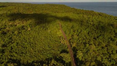 İnsan yapımı orman ve tek yol üzerindeki hava aracı görüntüsü, Siquijor Filipinler Asya, tropikal yağmur ormanı ve mavi okyanus 