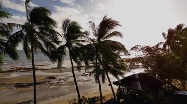 Siquijor tropikal plajları, küçük kasabalar ve Filipinler 'deki yeşil tropikal yapraklar üzerinde hava aracı görüntüsü, güzel Asya seyahatleri sinematik palmiye ağaçları ve okyanuslar  