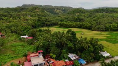 Siquijor tropikal plajları, küçük kasabalar ve Filipinler 'deki yeşil tropikal yapraklar üzerinde hava aracı görüntüsü, güzel Asya seyahatleri sinematik palmiye ağaçları ve okyanuslar  