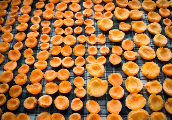 Свіжий Літній Урожай Соковитих Апельсинових Абрикосових Фруктів Сушиться Сонці Готуючись — стокове фото