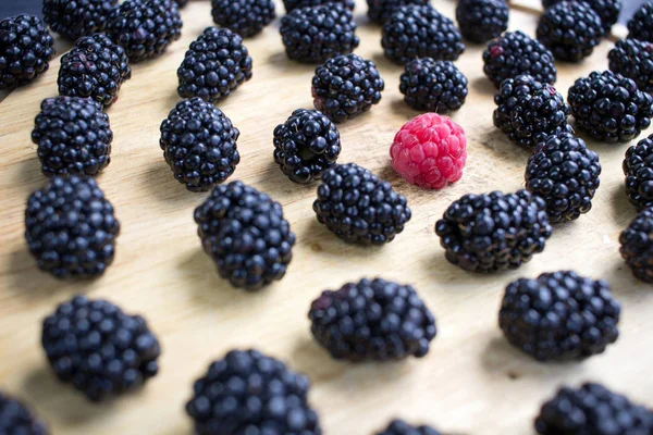 Conjunto Sabrosas Bayas Jugosas Muchas Moras Una Frambuesa Entre Ellas — Foto de Stock