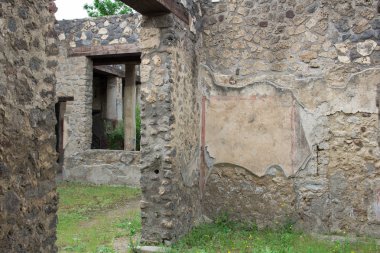İtalyan Pompei 'nin harap olmuş taş duvarlarının altındaki çayır yeşili çimenler.