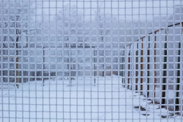 Snowed Sport Yard Frosty Metal Grid Net Winter Time — Stock Photo, Image