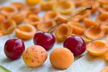 Yaz hasat mellow taze ve kurutulmuş kayısı ve koruma için hazırlanan sulu kiraz