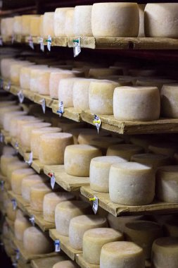Süt gıda ürün raflarda olgun büyüyen beyaz peynir kafa