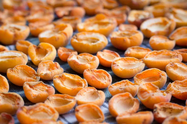 Свежий летний урожай высушенных на солнце мягких абрикосов Стоковое Фото
