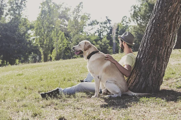 Canadian labrador dog resting in the park with his owner on a sunny day