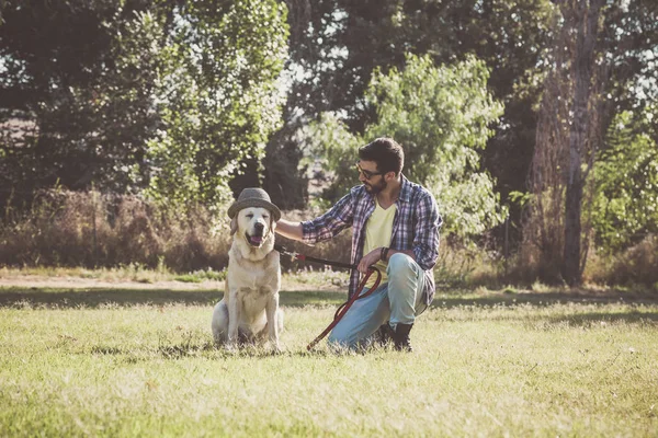 Docile canadian labrador dog playing with his owner\'s hat in a park