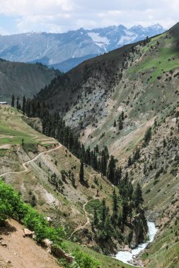 Taş dağ zirveleri ile yeşil ağaçlar, Pakistan