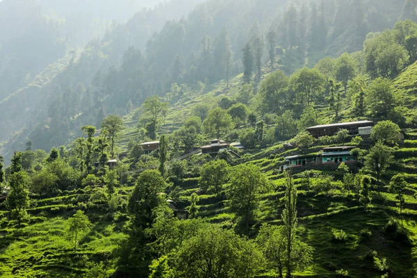 Pakistan 'ın Gilgit Baltistan Yeşil Dağlarındaki Kırsal Evler