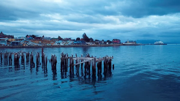 Air View Seitting Birds Old Wooden Pier Blue Sunset Sky — Stock fotografie