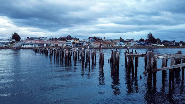 Air View Seitting Birds Old Wooden Pier Blue Sunset Sky — Stock fotografie