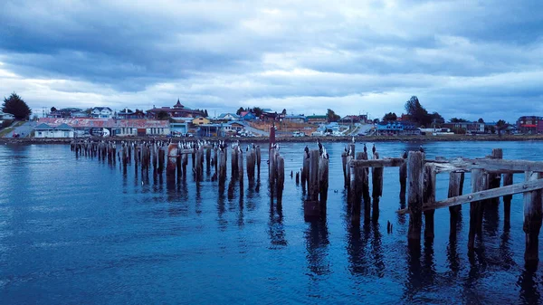 Puerto Natales, Şili 'deki Mavi Günbatımı Gökyüzü' nün altındaki Eski Ahşap İskeledeki Oturan Kuşlara Hava Görüntüsü