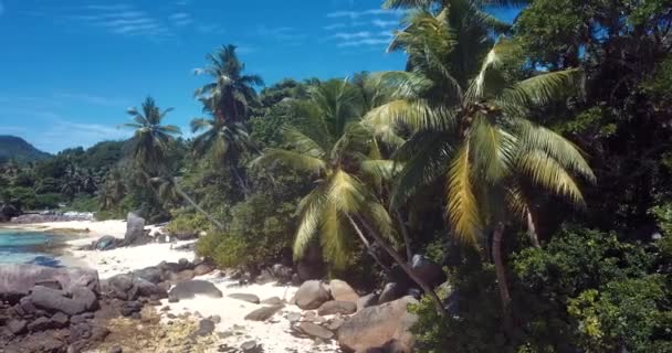 Luchtfoto Van Palmen Stenen Het Luxe Zandstrand Van Het Eiland — Stockvideo