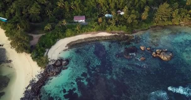 Flygfoto Till Gröna Träden Och Klarblått Vatten Mahe Island Hjärtat — Stockvideo