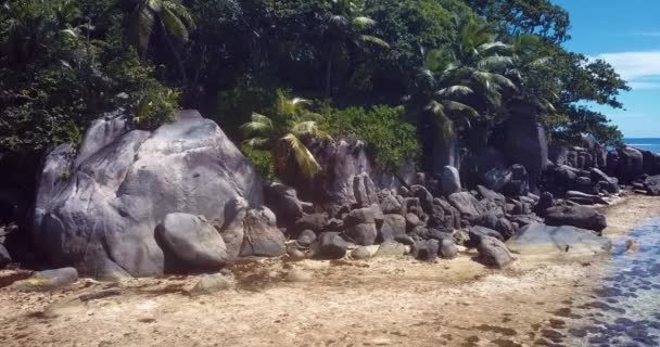 Letecké Záběry Palmy Kameny Luxusní Písečné Pláži Ostrova Mahe Srdci — Stock video