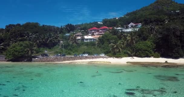 Aerial View Green Trees Clear Blue Water Mahe Island Indiai — Stock videók