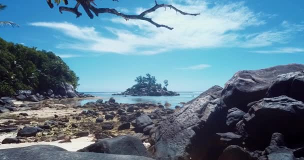 Повітряні Кадри Пальм Каменів Розкішному Піщаному Пляжі Острова Мае Серці — стокове відео