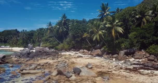 Filmagem Aérea Para Palmas Pedras Luxuosa Praia Areia Ilha Mahe — Vídeo de Stock