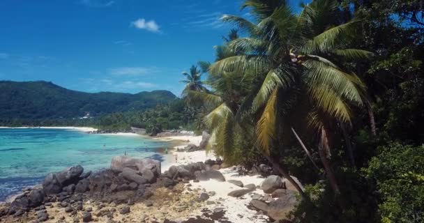 Filmagem Aérea Para Palmas Pedras Luxuosa Praia Areia Ilha Mahe — Vídeo de Stock