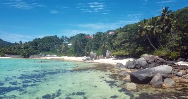 Filmagem Aérea Para Palmas Pedras Luxuosa Praia Areia Ilha Mahe — Vídeo de Stock