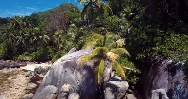 Filmagem Aérea Para Palmas Pedras Luxuosa Praia Areia Ilha Mahe — Vídeo de Stock