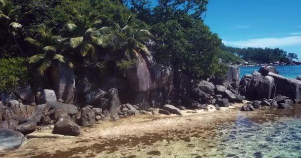 4K Images Aériennes Aux Palmiers Et Pierres Sur La Plage De Sable De Luxe De L'île Mahe Au Cœur De L'océan Indien, Seychelles
