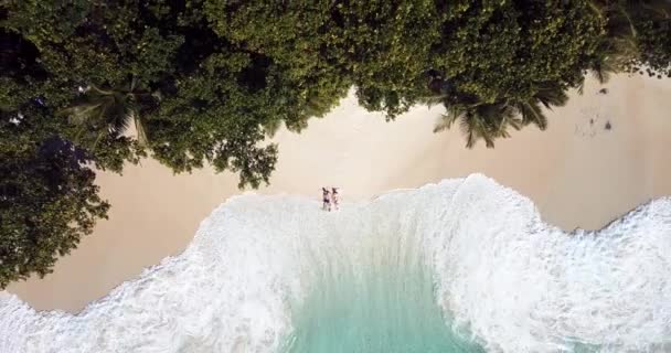 Praslin Island Seychellen Januari 2020 Luchtfoto Van Het Gelukkige Mooie — Stockvideo