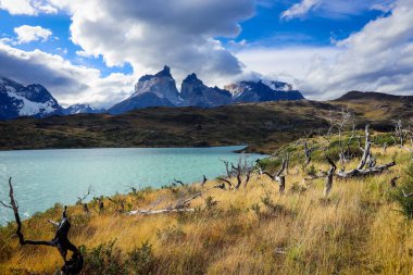 Torres Del Paine Ulusal Parkı, Şili 'de Gölün Mavi Suyu