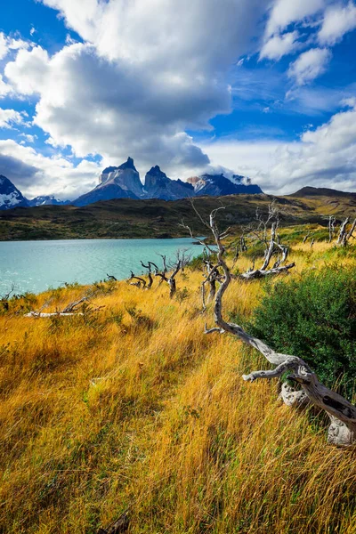 Torres Del Paine Ulusal Parkı Şili Gölün Mavi Suyu — Stok fotoğraf