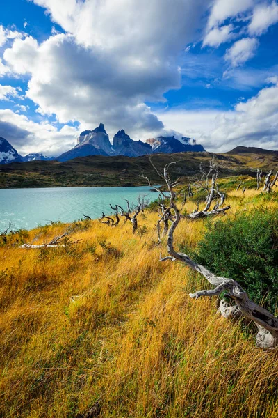 Błękitna Woda Jeziora Parku Narodowym Torres Del Paine Chile — Zdjęcie stockowe