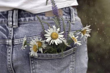 Bir kız mavi jeans papatyalar ülke yolda yürürken arka cebinde bir buket.