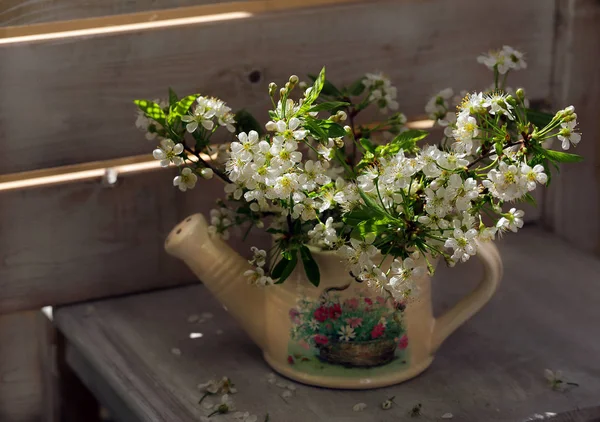 Ágai Cseresznye Virágok Egy Dekoratív Öntözés Egy Fából Készült Asztal — Stock Fotó