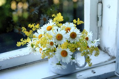  Kırsal yaşam, papatyalarla dolu beyaz bir daire içinde ahşap bir pencere üzerinde. Bahçe manzaralı pencere.