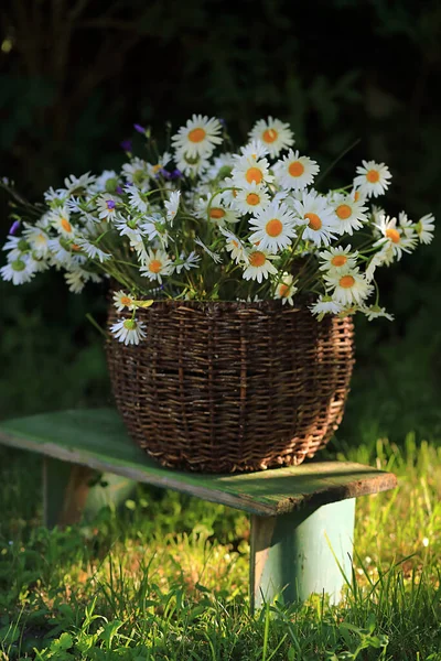 Kosár Virágok Reggeli Fény Kertben — Stock Fotó