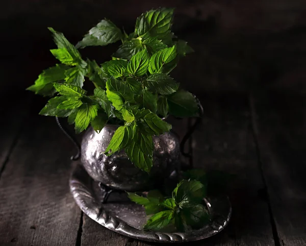 Fresh Mint Leaves Antique Metal Tray Wooden Table — Stock Photo, Image