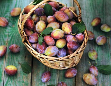  Bahçedeki ahşap bir masada sepetin içinde taze erikler..