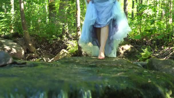 Caminante chica viajando en el bosque salvaje de la selva con un vestido y pasos sobre el suelo sobre el río limpio de montaña . — Vídeos de Stock