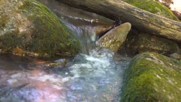 Water in the beautiful mountain river flows round a big stone in slowmotion. Small waterfall in river — Stock Video