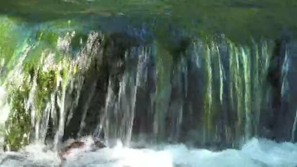 Água de fluxo de cachoeira que flui em pedras no rio. Cachoeira de montanha na selva — Vídeo de Stock