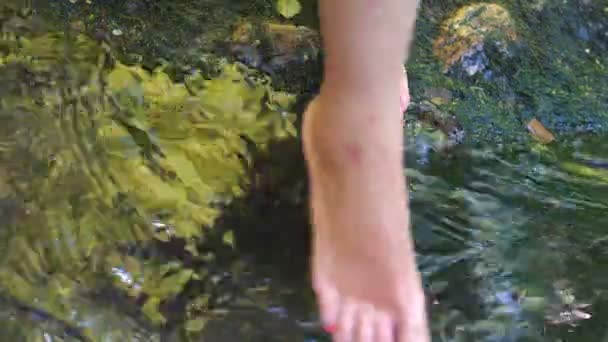 女腿横过石河特写。赤脚妇女走在透明的河里 — 图库视频影像