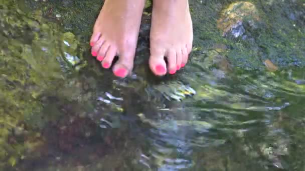 Menina de pé sobre o rio com os pés na água — Vídeo de Stock