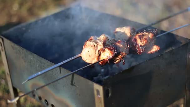 Carne asada apetecible - shish kebab, Brochetas a la parrilla en fogata carbón vivo — Vídeos de Stock